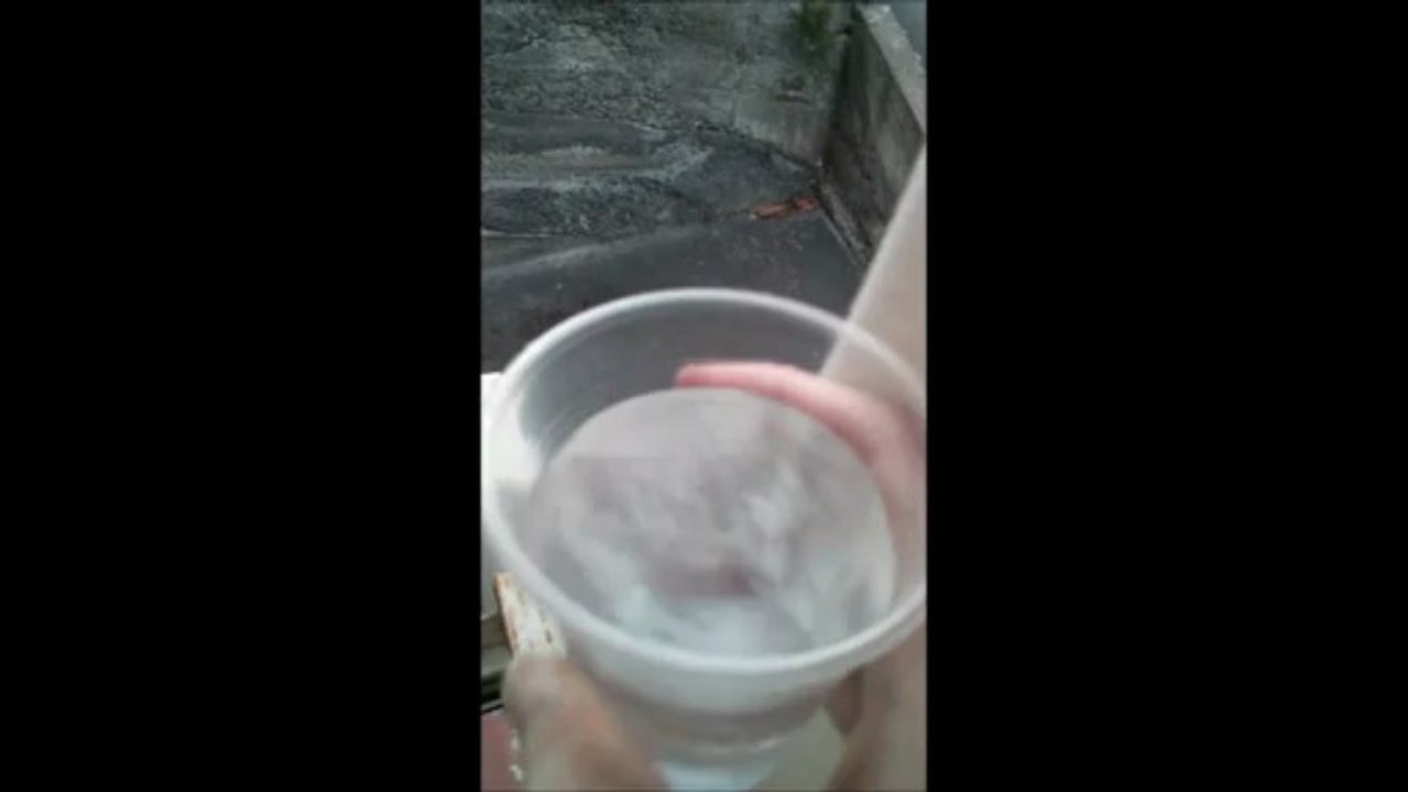 Cat VS Water FAIL