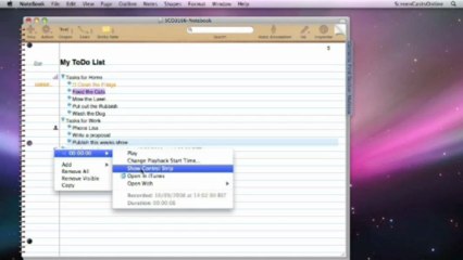 Outlining, To Dos & Annotating Notes in Circus Ponies NoteBook