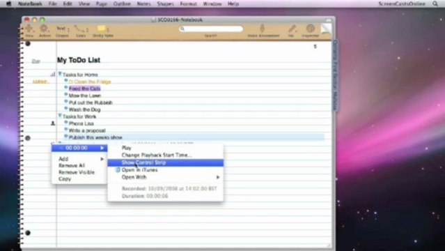 Outlining, To Dos & Annotating Notes in Circus Ponies NoteBook