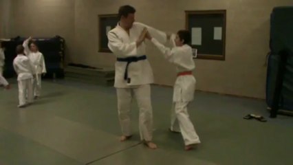 gyaku hanmi katate dori : uchi kaeten nage