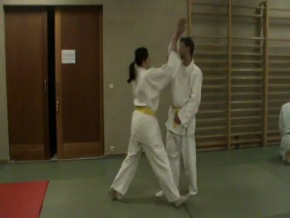 Shomen uchi :  ikkyo omote kihon