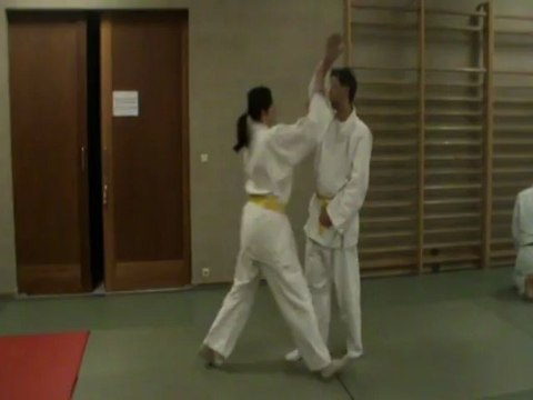 Shomen uchi : ikkyo omote kihon