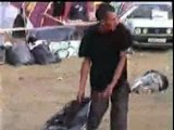 video teknival larzac 2003