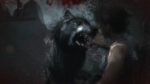 Tomb Raider (2013) | 5/Les loups