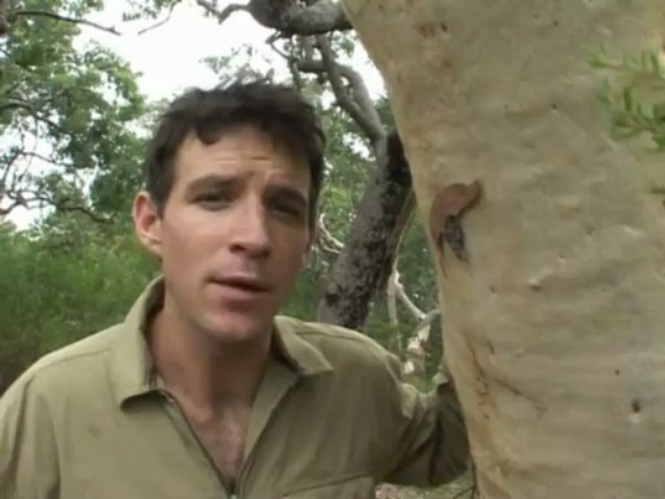 Hills o the Hawkesbury - Life In Our Backyard - Episode 2 Exploring Our Regions Wildlife - part 2