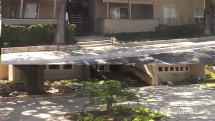 Fox Fire Apartments in San Antonio, TX - ForRent.com