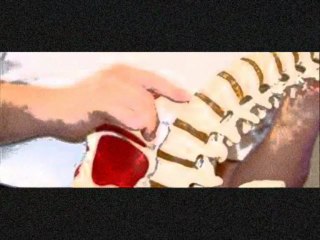 lees summit chiropractic : http://www.raintreechiro.com/