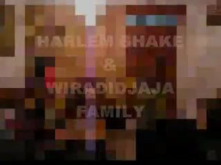 HARLEM SHAKE AND WIRADIDJAJA FAMILY