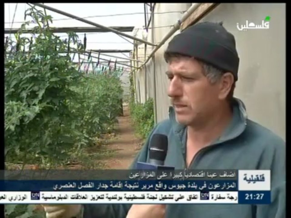 news 9