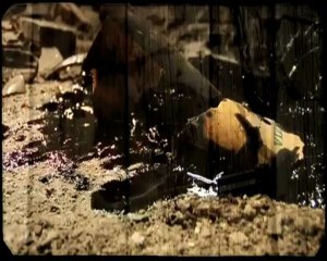 CATHERINE  DENEUVE / TOI JAMAIS