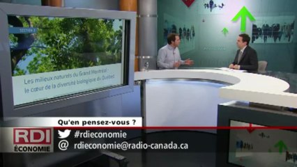RDI Économie - Entrevue Jérôme Dupras