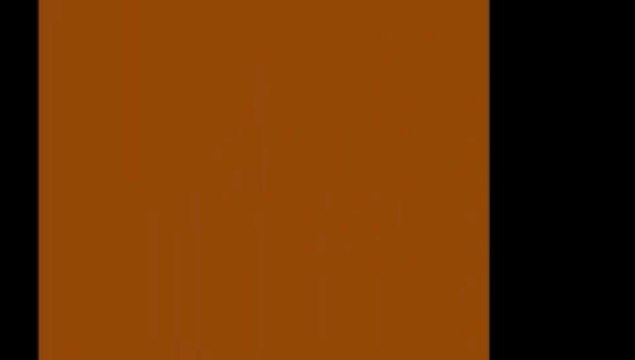 Aldo on Trost Vol.13 by Wild-Colombini Magic (DVD) - Magic Trick