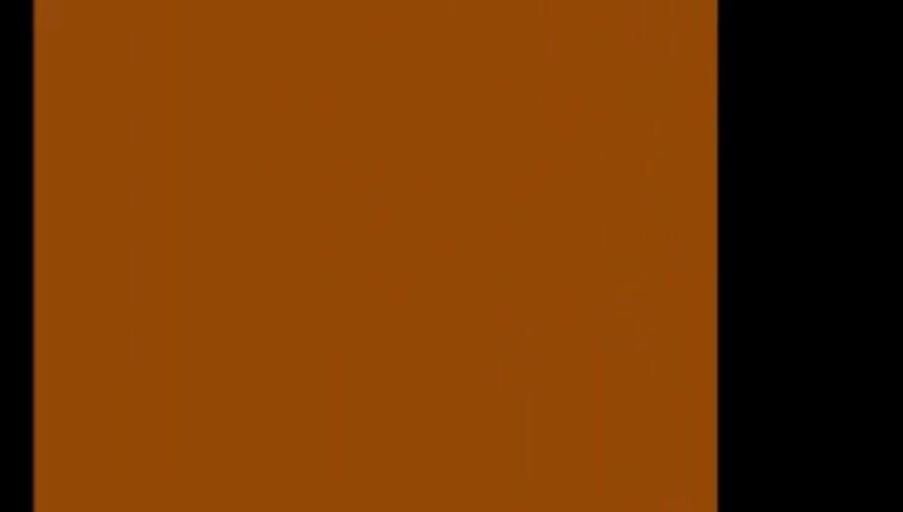 Magigram Vol.4 by Wild-Colombini Magic (DVD) - Magic Trick