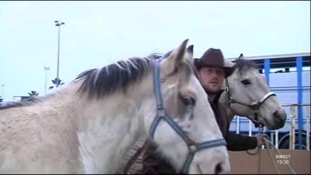 Equisud : 13e édition du salon du cheval à Montpellier