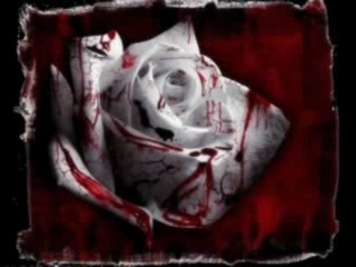 Seslisensizim.com,Şiir Gecemiz.03.08.2013,Seslisensizim.com,Www.Seslisensizim.com