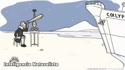 Inteligencia Naturalista: Descripción y Características