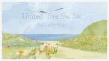 United Tree Svc Inc (240) 485-8940