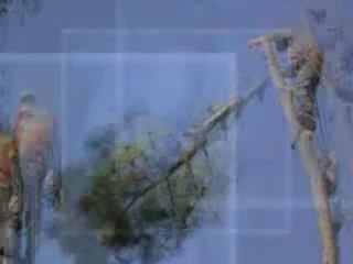 Tree Removal Atlanta: Call 404-618-1424