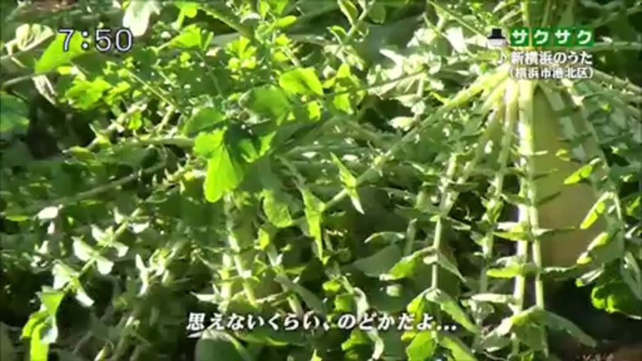 SAKUSAKU 2013.02.21　新横浜のうた