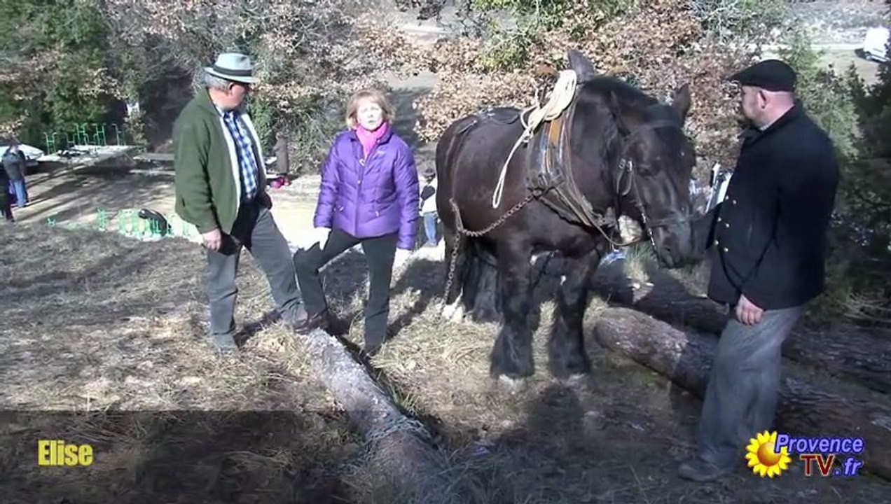 Débardage à l'ancienne