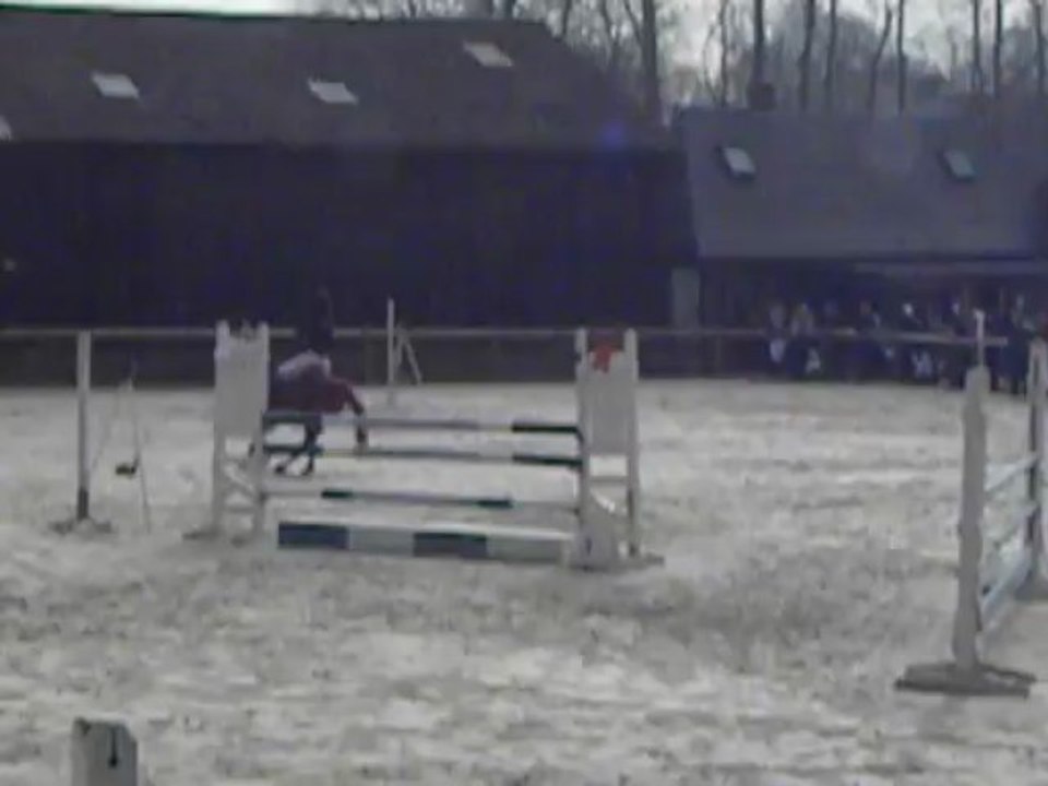 ELISE DE JEAN ET EQUUS MR SPOCKS  SF 110 AS PONEY 2D