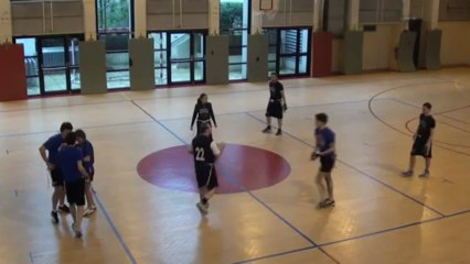 Aréna Flag 2013 Saints White sharks