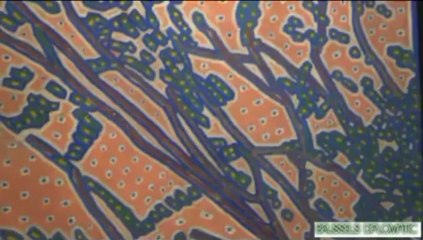 EXPO KANDINSKY ROYAL MUSEUM OF FINE ARTS BRUSSELS