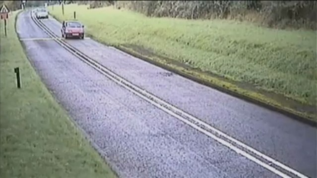 Trop de cerfs en Grande-Bretagne, l'abattage recommandé par des experts