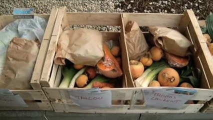 Hebdo DD : Le développement durable en Alsace (07/03/13)