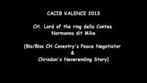 CACIB Valence 2013 Lord Of The Ring della Contea Normanna