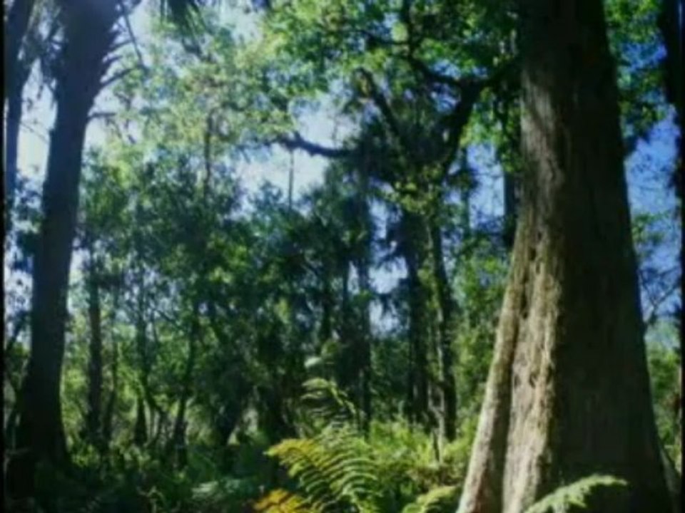 Super 10 and GNLD Home Business Opportunity