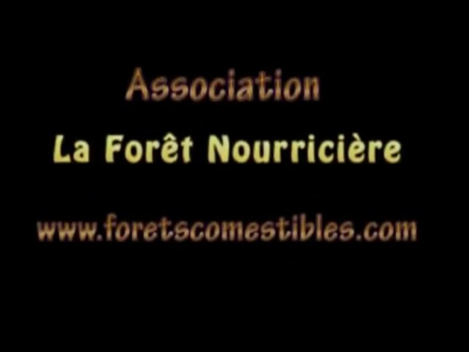 Permaculture jardin foret  1/2