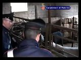Palermo - Sequestro di carne in cattivo stato igienico (06.03.13)