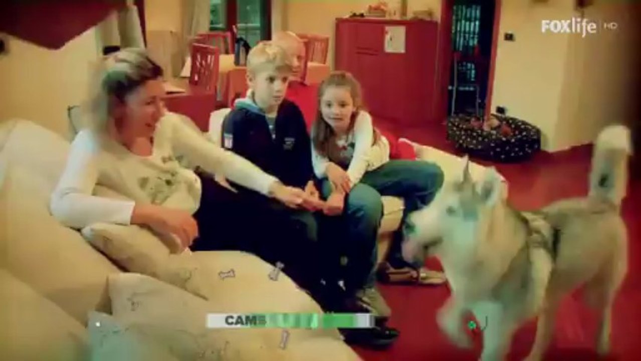 Cambio Cane   dal 30 novembre in prima assoluta su FoxLife