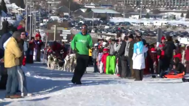 Départ d'une balade avec des chiens de traineaux