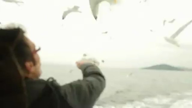 Roues-Libres / Romain et les mouettes