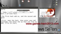 Guild Wars 2, Private - Pirater - Hack Cheat - téléchargement