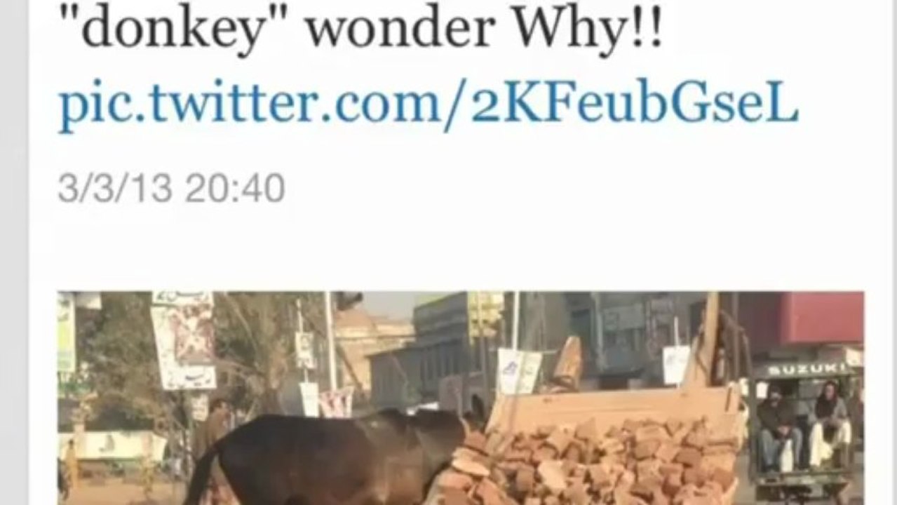 Abid Sher Ali fight and abusive language on Twitter-This is PMLN