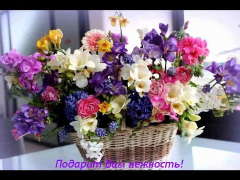 8 марта. С первым весенним праздником 8 марта!