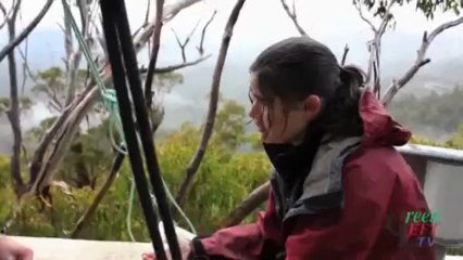 Cette femme a été obligée de quitter l'arbre dans lequel elle vivait depuis 15 mois