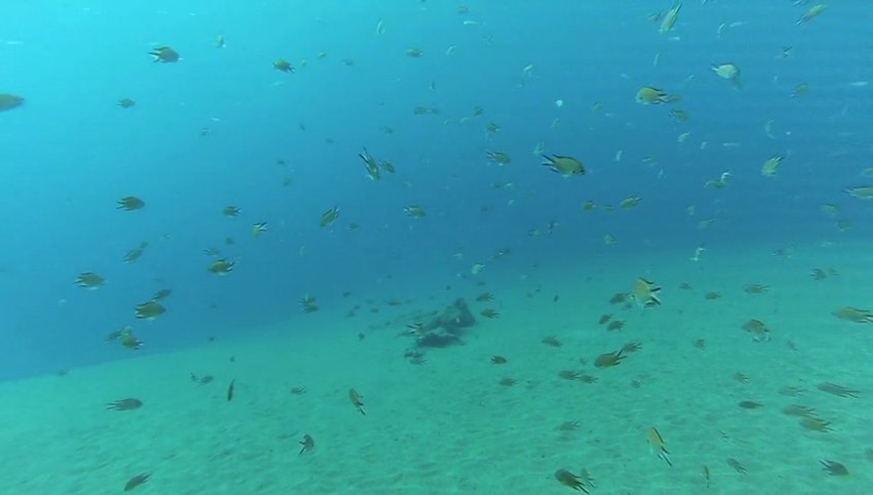 Gliss'experience-canaries -fev.2013