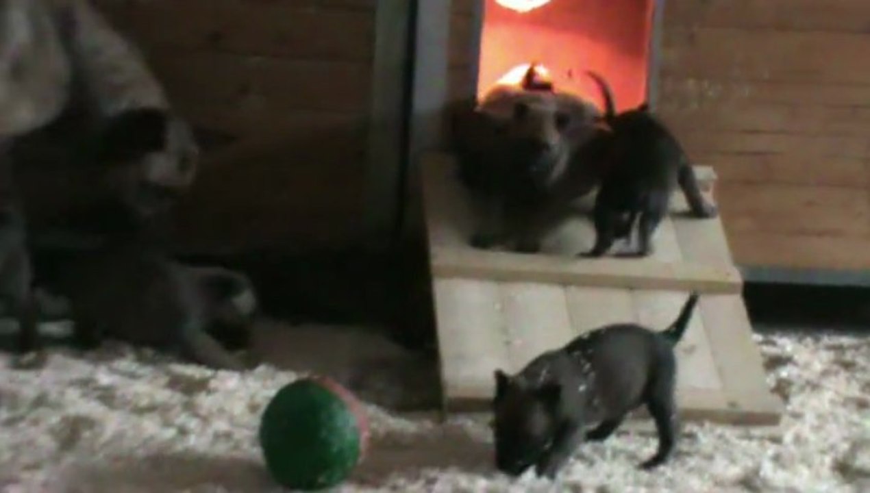 Be Aware F's - New Playground!