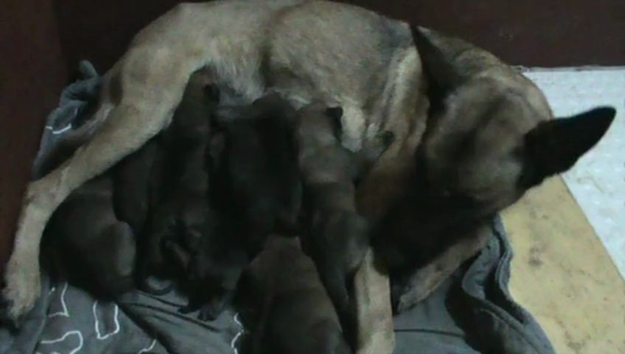 Be Aware F's at the Milk-Bar!