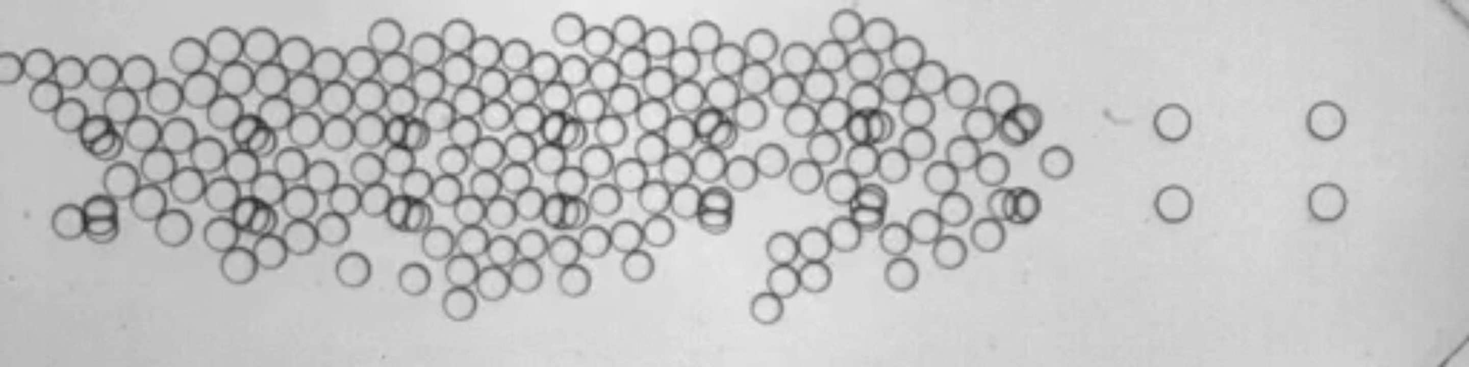C1_filling_species_A