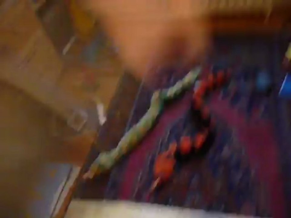 Les vipères attaquent, KSS KSS, IAIAIAIE!!!!!