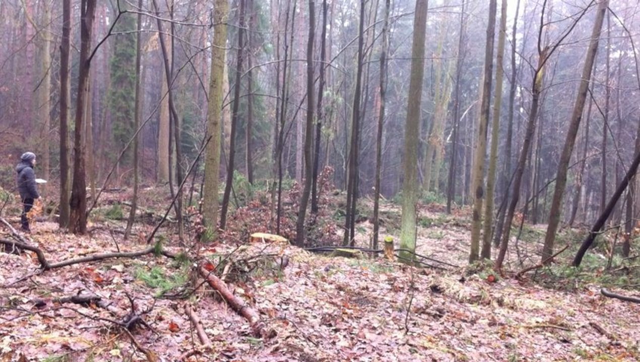Record 9.03.2013, 13:47 – 13:52, Golden lane