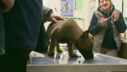 Be Aware F'Stiegl @ Vet