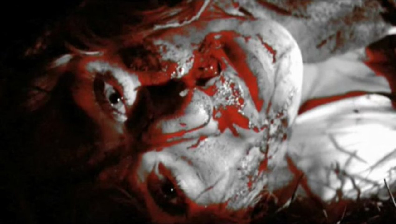 tod einer unschuldigen