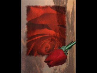 Anlayamadım - İzzettin Bilgin