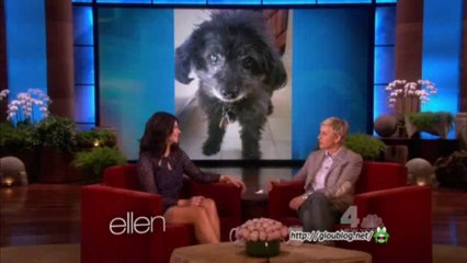 Casey Wilson Interview Mar 01 2013